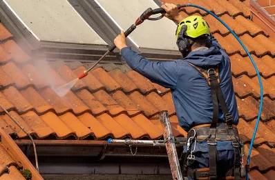 Démoussage et hydrofuge de toiture à Pamplie